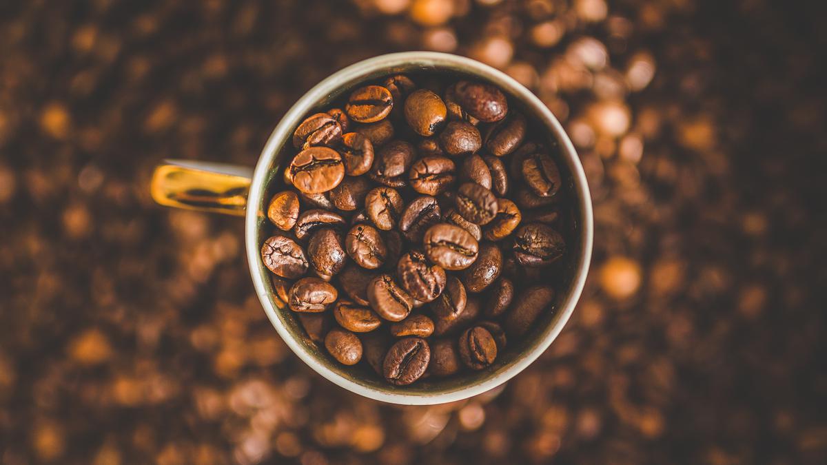 macam macam rasa kopi