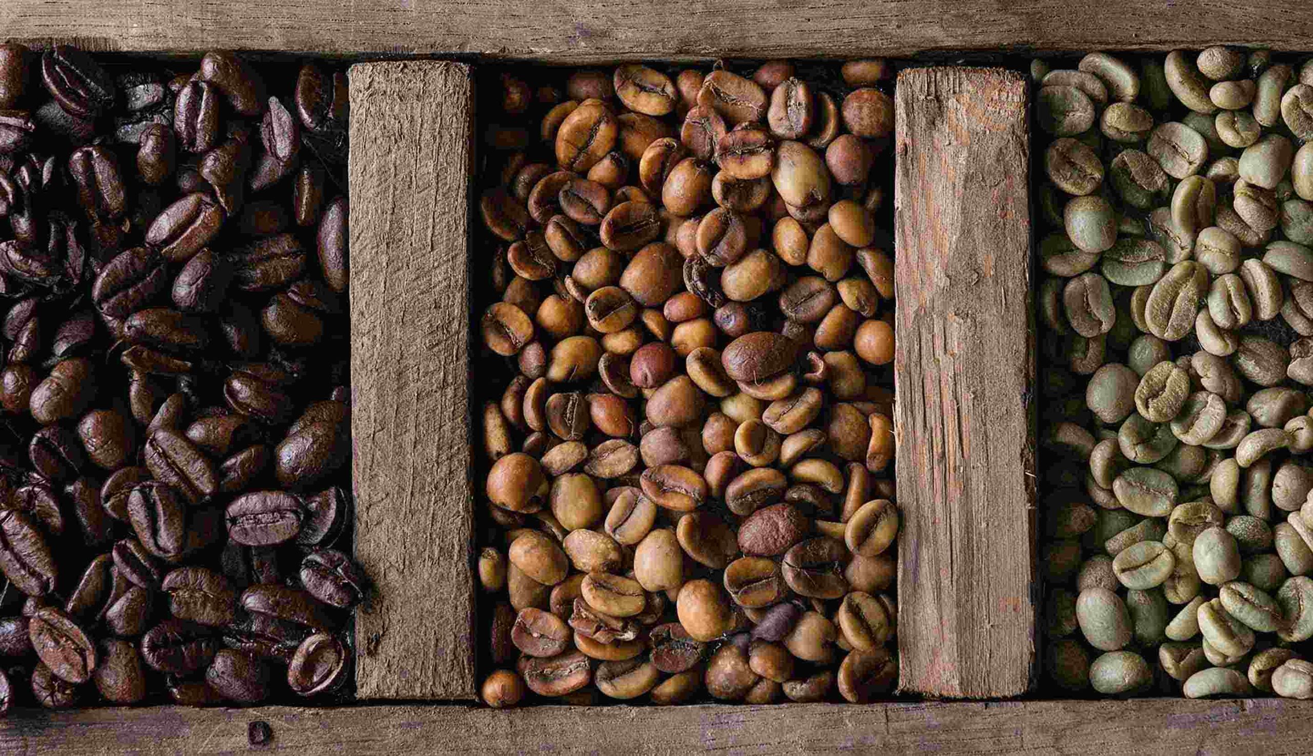 Perjalanan Biji Kopi