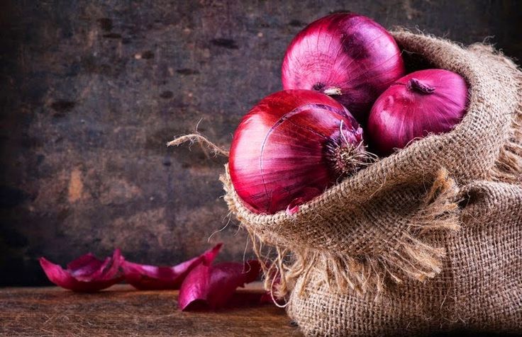usaha pengolahan bawang merah
