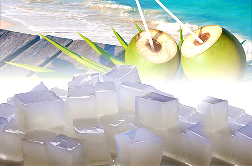 syarat ekspor nata de coco