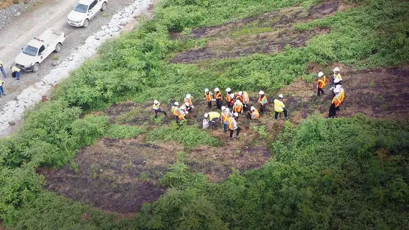 pemanfaatan cocomesh di reklamasi tambang