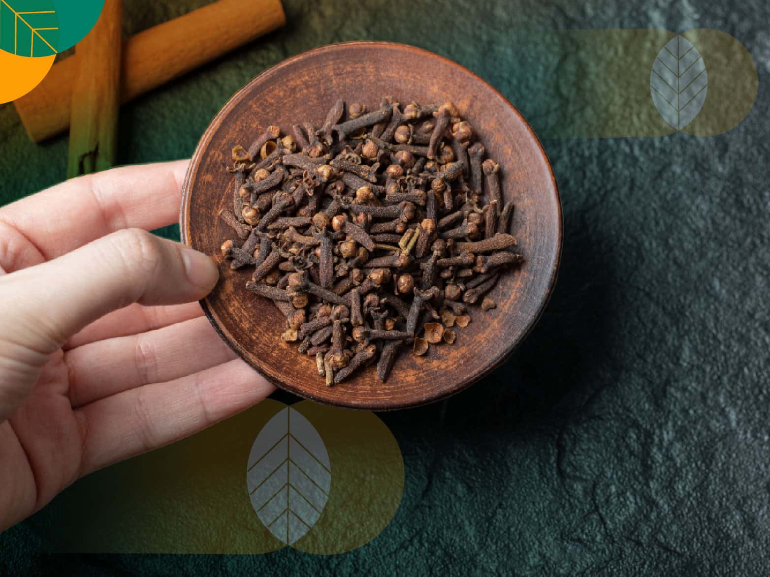 alat pengering bunga cengkeh