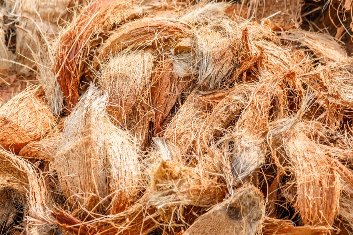 Revolusi bahan alami melalui sabut kelapa