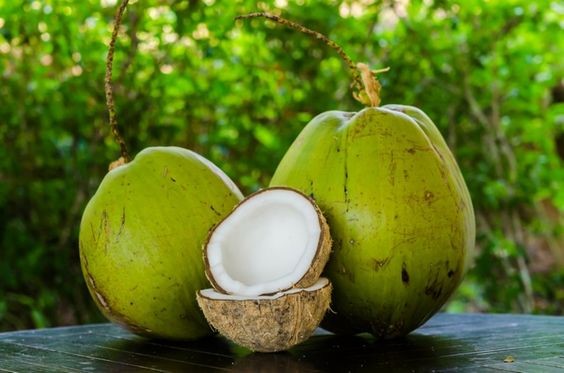 Produk Kelapa Skala Rumahan