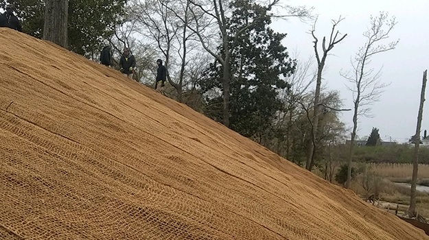 cocomesh sebagai penahan tanah kebun lereng