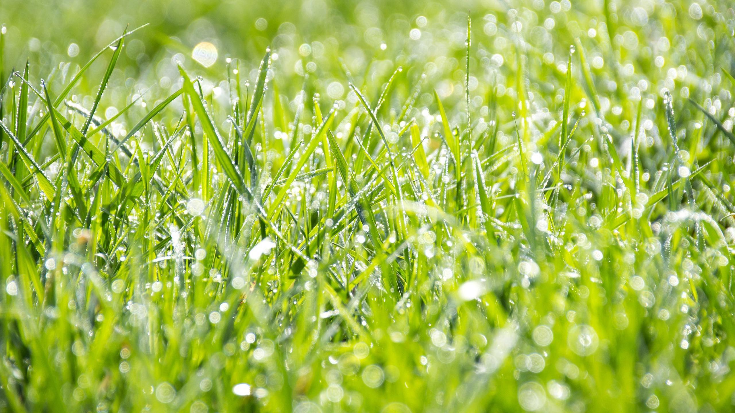 fungsi mesin pencacah rumput