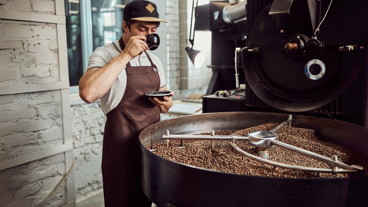 mesin giling kopi untuk usaha